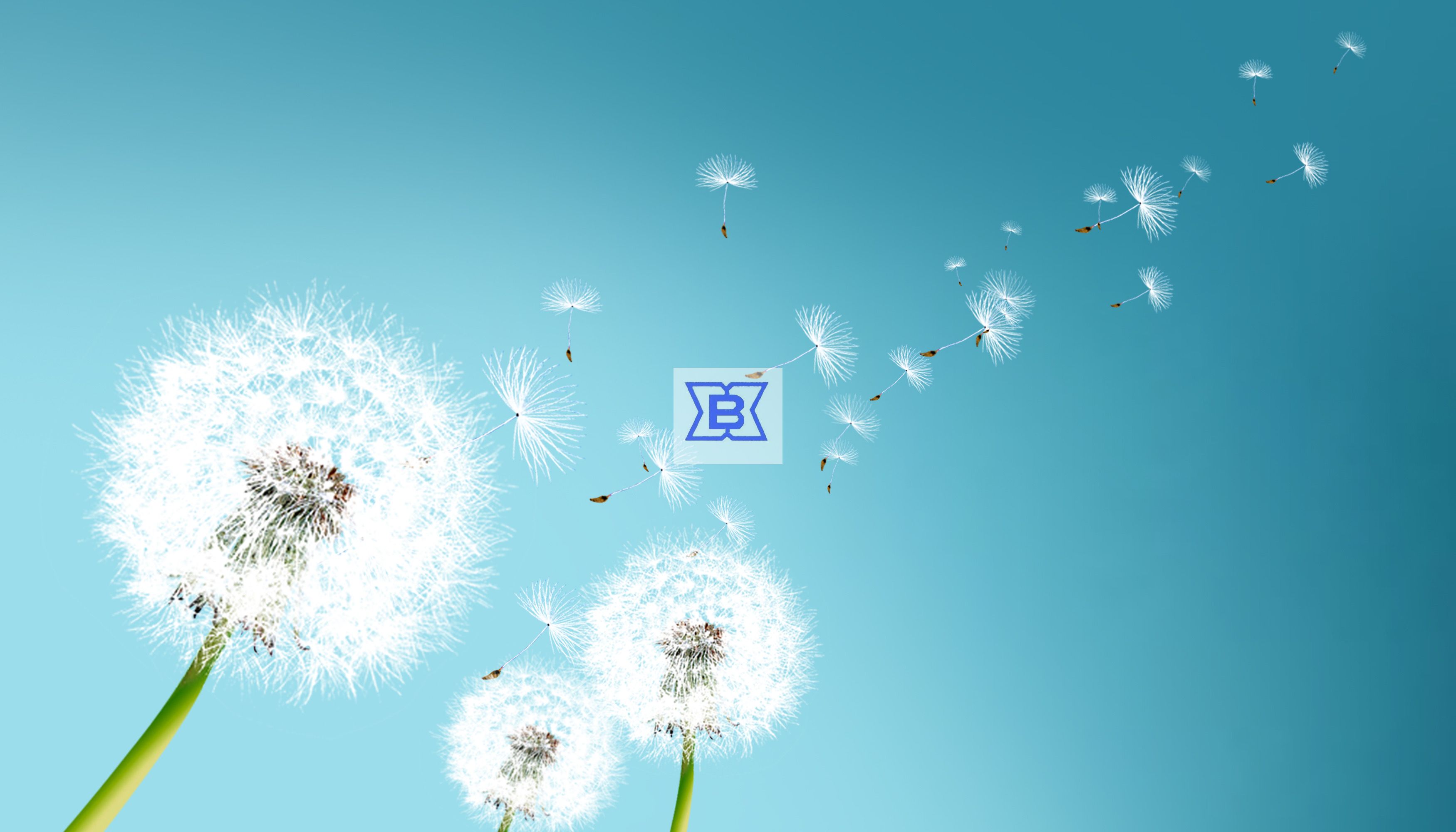 AG贵宾厅(中国集团)官方网站
